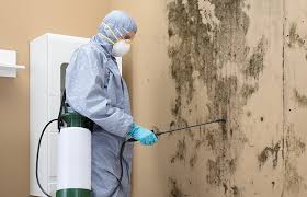 Best Biohazard Mold Removal  in Bethlehem, PA